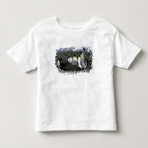 Antarctica, Zuid-Georgia eiland. Antarctische zeeb Kinder Shirts