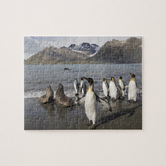 Antarctica, Zuid-Georgia-eiland (VK), Antarctisch  Legpuzzel (Horizontaal)