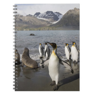 Antarctica, Zuid-Georgia (GB), Antarctisch 2 Notitieboek