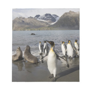 Antarctica, Zuid-Georgia (VK), Antarctisch 2 Notitieblok