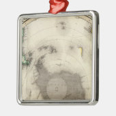 Antarctica, zuidelijk halfrond metalen ornament (Links)