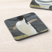 Antarctisch Bier Onderzetter (Linkerzijde)