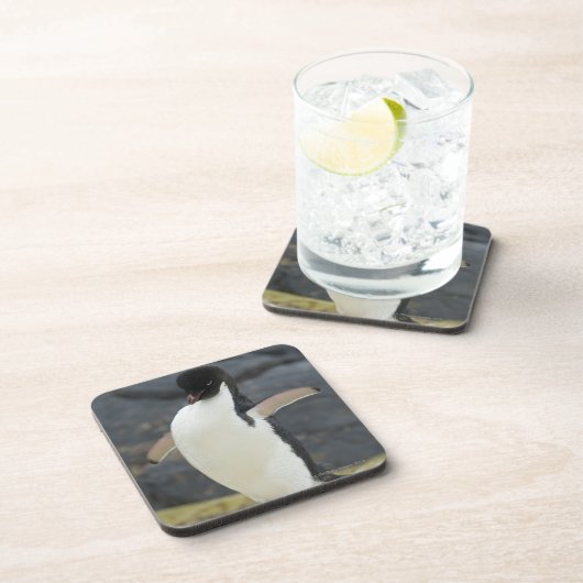 Antarctisch Bier Onderzetter (Rechterzijde)