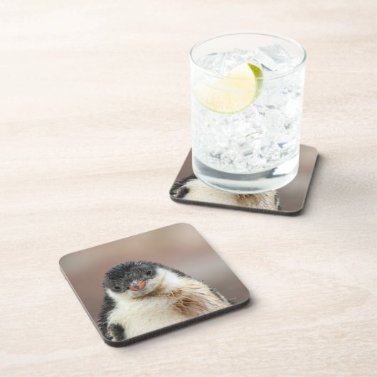 Antarctisch Bier Onderzetter (Rechterzijde)