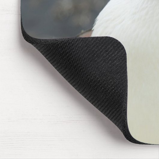 Antarctisch Muismat (Hoek)