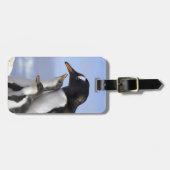 Antarctisch schiereiland, Neko Harbour, Gentoo Bagagelabel (Voorkant horizontaal)