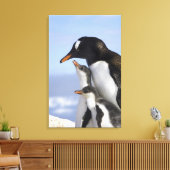 Antarctisch schiereiland, Neko Harbour, Gentoo Canvas Afdruk (Insitu (Woonkamer))