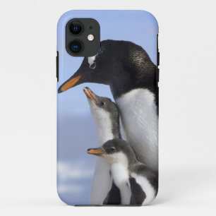 Antarctisch schiereiland, Neko Harbour, Gentoo Case-Mate iPhone Case