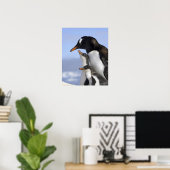 Antarctisch schiereiland, Neko Harbour, Gentoo Poster (Thuiskantoor)