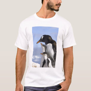 Antarctisch schiereiland, Neko Harbour, Gentoo T-shirt