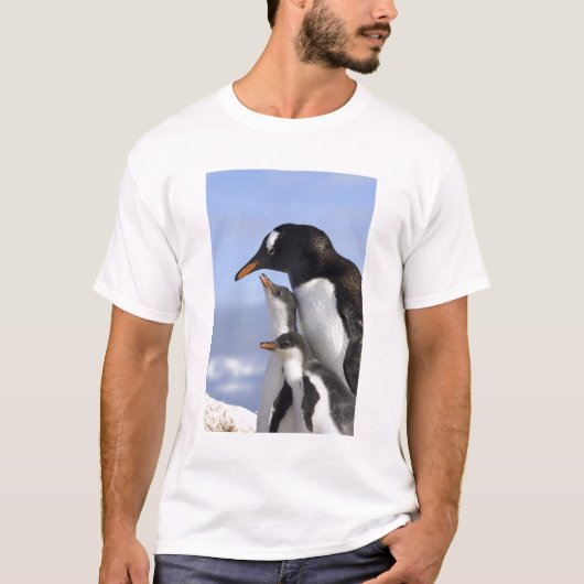 Antarctisch schiereiland, Neko Harbour, Gentoo T-shirt (Voorkant)