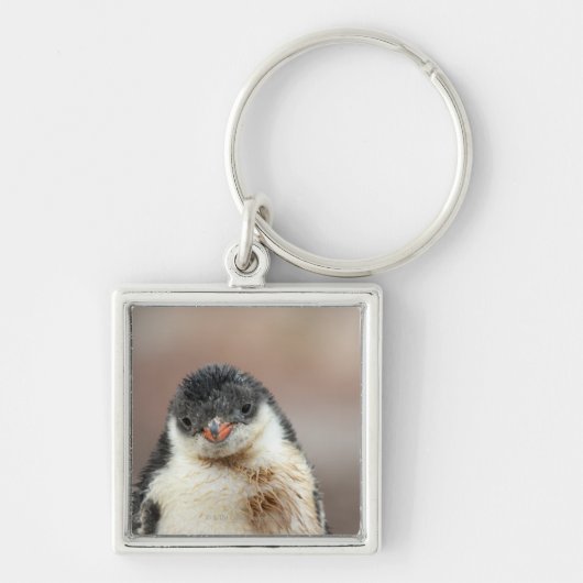 Antarctisch Sleutelhanger (Voorkant)