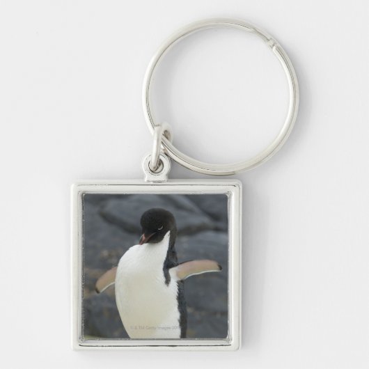 Antarctisch Sleutelhanger (Voorkant)