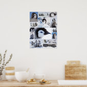Antarctische keizer Penguin Chicken Photo Collage Poster (Keuken)