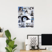 Antarctische keizer Penguin Chicken Photo Collage Poster (Thuiskantoor)