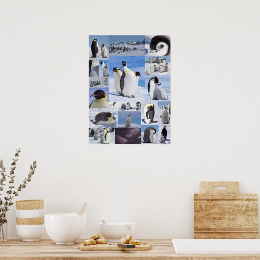Antarctische keperor Penguin Collage Poster (Keuken)