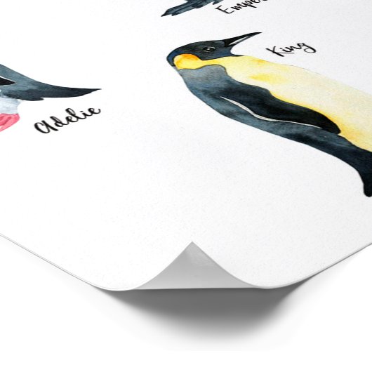 " Antarktis: 2021/heute - PINGUIN Arten ... Poster (Hoek)