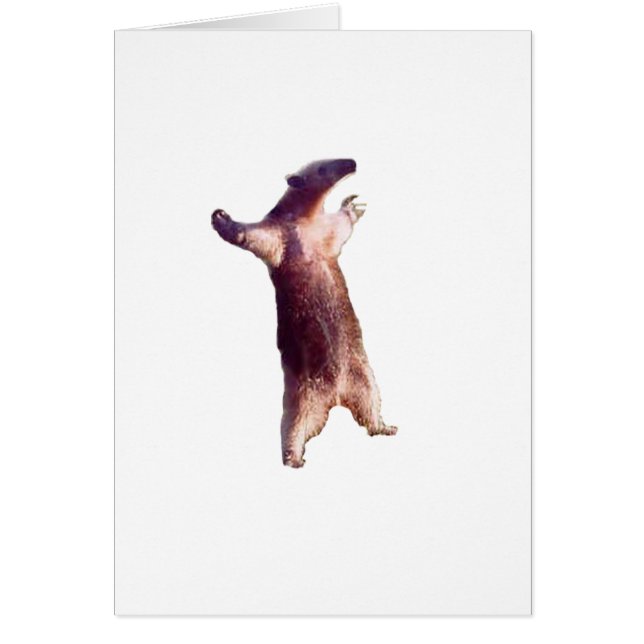 Anteater (Voorkant)
