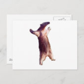 Anteater Briefkaart (Voorkant / Achterkant)