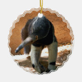 Anteater Ornament (Voorkant)