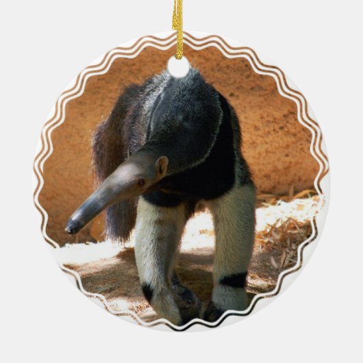Anteater Ornament (Achterkant)