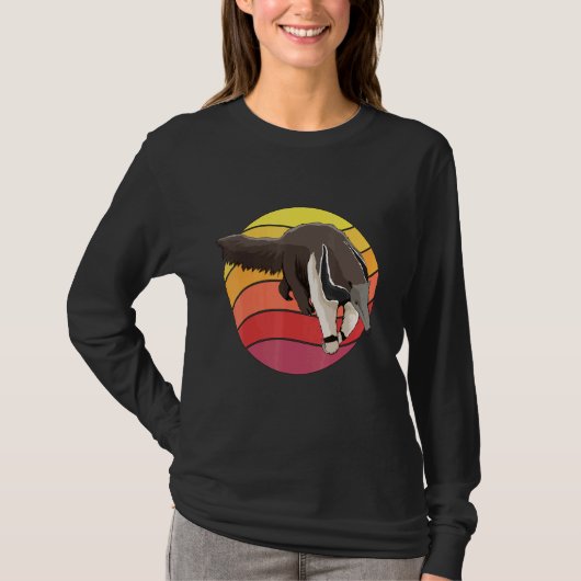 Anteater Retro Sunset Ant Beer Anteaters T-shirt (Voorkant)