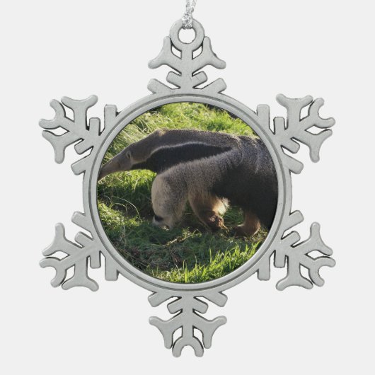 Anteater Tin Sneeuwvlok Ornament (Voorkant)