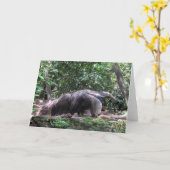 AnteaterWenskaart Kaart (Gele Bloem)