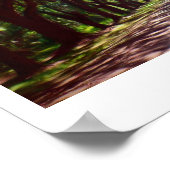 Antebellum Poster (Hoek)