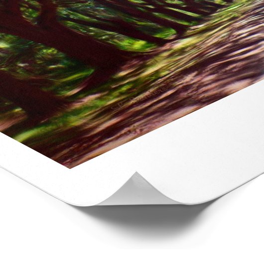 Antebellum Poster (Hoek)