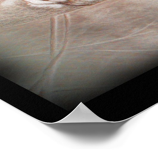 Antelope Art Poster (Hoek)