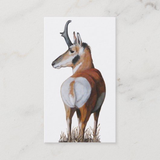 Antelope Book Mark Visitekaartje (Voorkant)