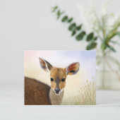 Antelope Bushbuck Young African Deer Drawing Briefkaart (Staand voorkant)