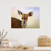 Antelope Bushbuck Young African Deer Drawing Poster (Keuken)