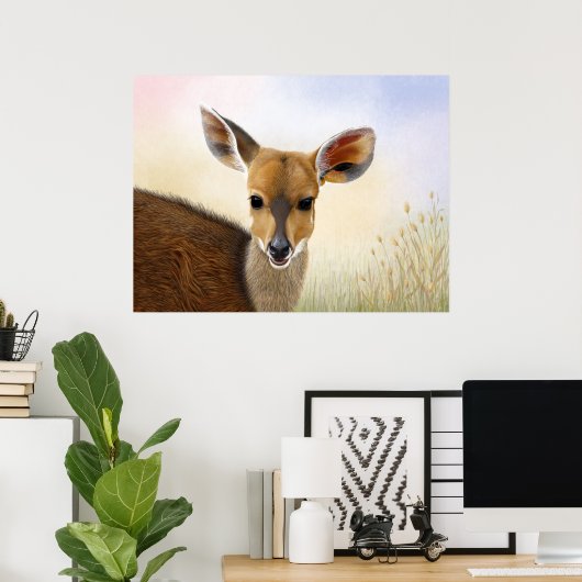 Antelope Bushbuck Young African Deer Drawing Poster (Thuiskantoor)