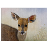 Antelope Bushbuck Young African Deer Drawing Snijplank (Voorkant)