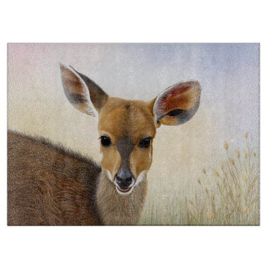Antelope Bushbuck Young African Deer Drawing Snijplank (Voorkant)
