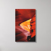 Antelope Canvas 13-21 (Voorkant)