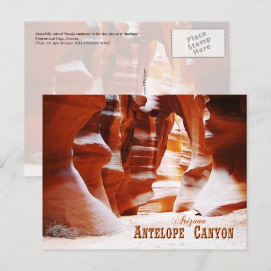 Antelope Canyon, Arizona Briefkaart (Voorkant / Achterkant)