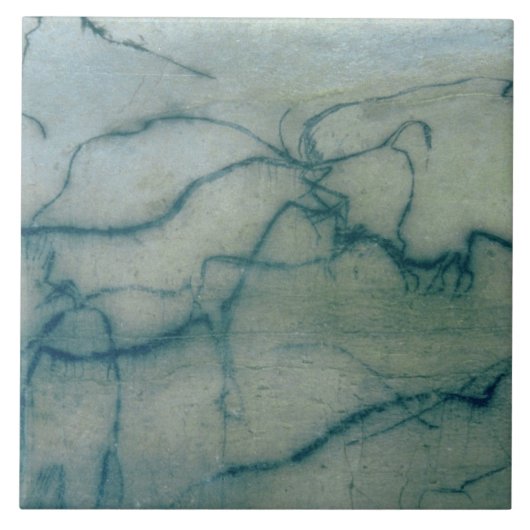 Antelope en Bison, Perigordiaan (grotschilderij) Tegeltje (Voorkant)