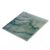 Antelope en Bison, Perigordiaan (grotschilderij) Tegeltje (Zijkant)