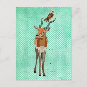 ANTELOPE- EN OWL-Briefkaart Briefkaart