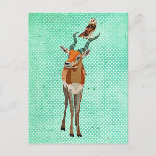 ANTELOPE- EN OWL-Briefkaart Briefkaart (Voorkant)