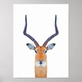 Antelope | Gasele Poster (Voorkant)
