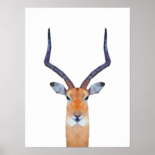 Antelope | Gasele Poster (Voorkant)