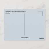 Antelope in Swaziland National Park Eswatini Briefkaart (Achterkant)