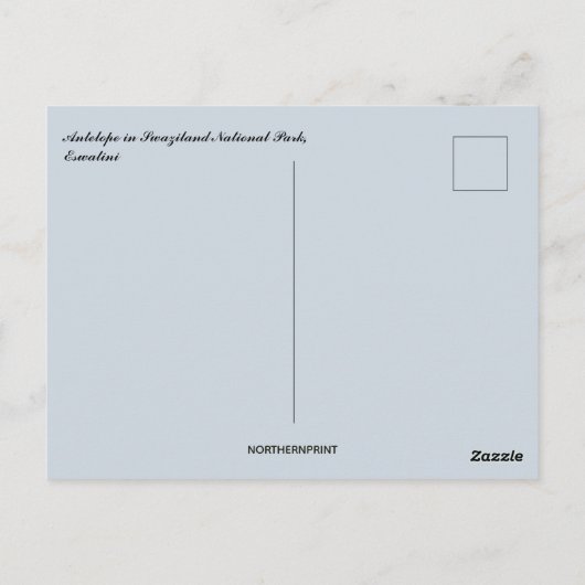 Antelope in Swaziland National Park Eswatini Briefkaart (Achterkant)