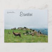 Antelope in Swaziland National Park Eswatini Briefkaart (Voorkant)