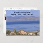 Antelope Island Great Salt Lake in het Briefkaart  (Voorkant / Achterkant)