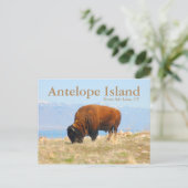 Antelope Island, Great Salt Lake, Utah Briefkaart (Staand voorkant)